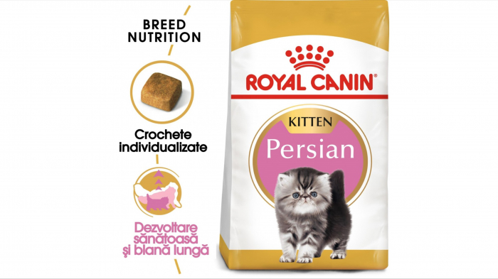 Royal Canin Persian Kitten hrana uscata pisica junior, 400 g