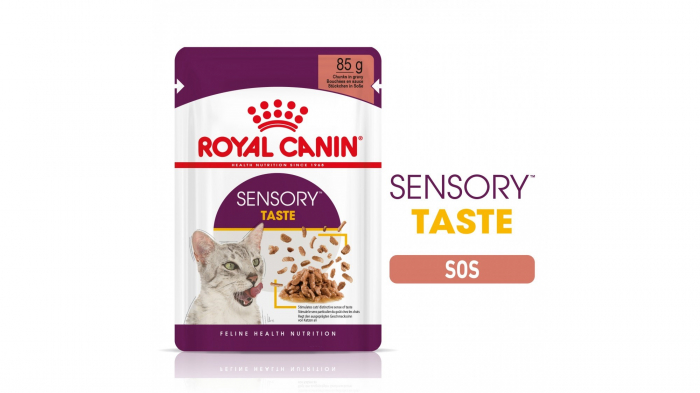 Royal Canin Sensory Taste, hrana umeda pisica pentru stimularea gustului (in sos), 1 x 85 g