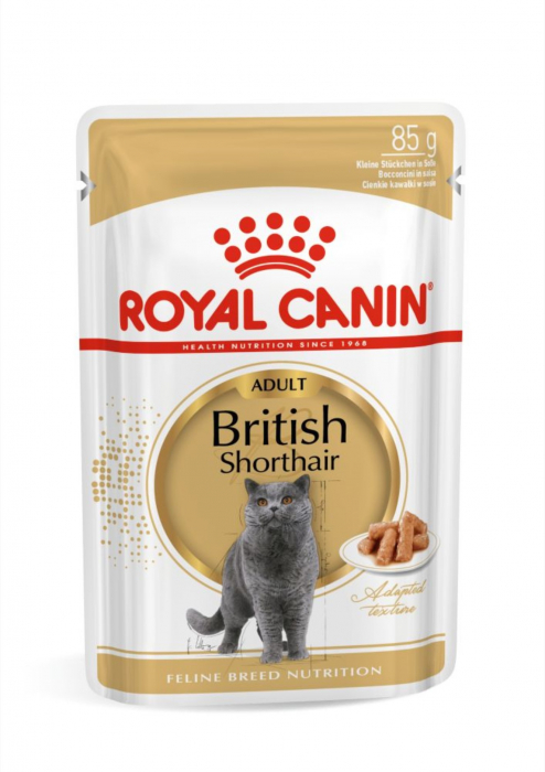 Royal Canin British Shorthair Adult hrana umeda pisica (in sos), 12 x 85 g