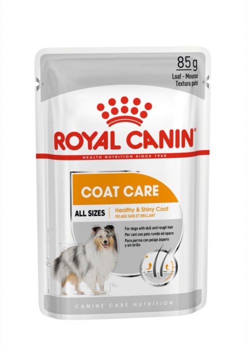 Royal Canin Coat Care Adult hrana umeda caine, blana sanatoasa si lucioasa (loaf), 12 x 85 g