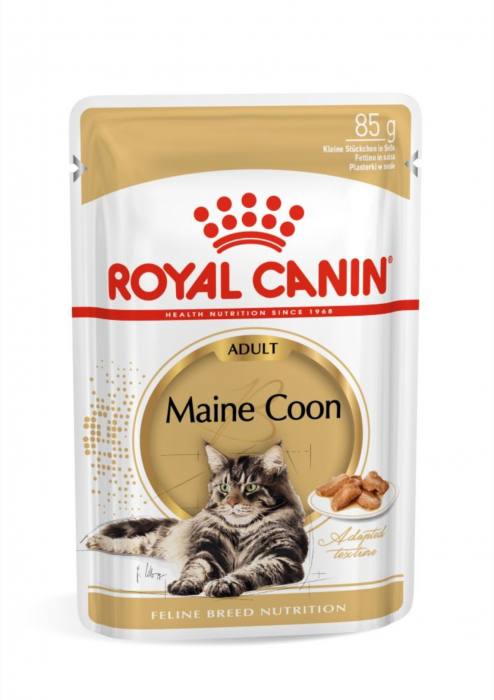 Royal Canin Maine Coon Adult hrana umeda pisica (in sos), 12 x 85 g