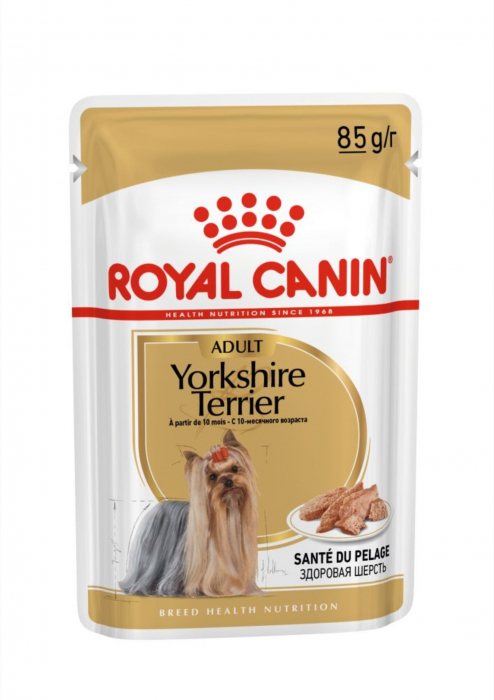 Royal Canin Yorkshire Terrier Adult hrana umeda caine (pate), 85 g Royal Canin Yorkshire Terrier Adult hrana umeda caine (pate), 85 g
