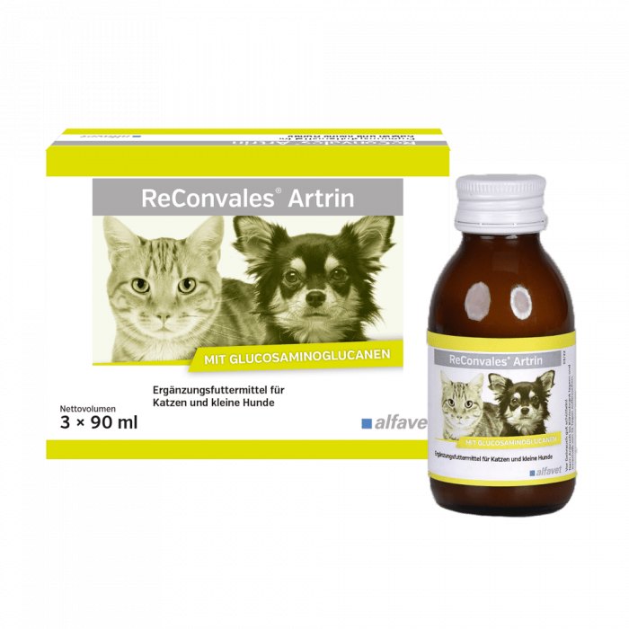 Supliment care sustine metabolismul articular in osteoartrita, caini si pisici, Reconvales ARTRIN, Alfavet, 90 ml Supliment care sustine metabolismul articular in osteoartrita, caini si pisici, Reconvales ARTRIN, Alfavet, 90 ml