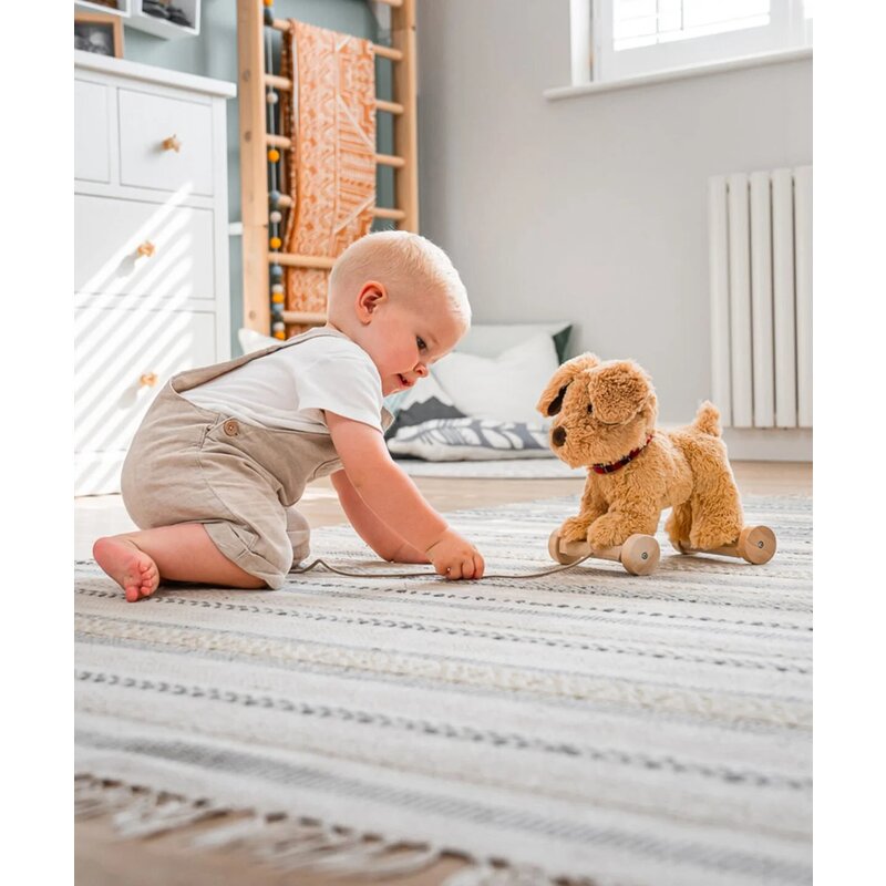 Little Bird Told Me - Dexter Dog Pull Along Toy cu roti detasabile, Golden Labrador Soft Cuddly Dog Toy pentru copii Little Bird Told Me - Dexter Dog Pull Along Toy cu roti detasabile, Golden Labrador Soft Cuddly Dog Toy pentru copii