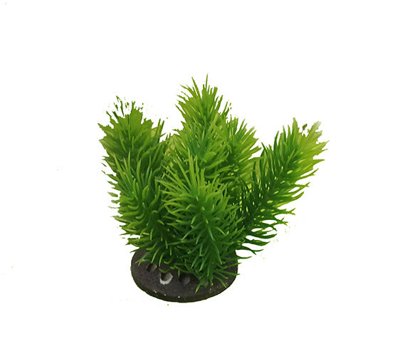 Decor pentru acvariu Croci Planta Japan Set 1