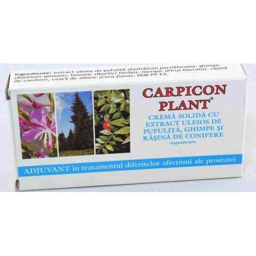 Carpicon Plant supozitoare cu extract uleios de pufulita, ghimpe si rasina de conifere 1g 10buc - ELZIN PLANT Carpicon Plant supozitoare cu extract uleios de pufulita, ghimpe si rasina de conifere 1g 10buc - ELZIN PLANT