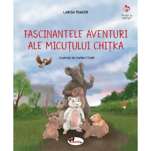 Fascinantele aventuri ale micutului Chitka - Larisa Toader, editura Aramis Fascinantele aventuri ale micutului Chitka - Larisa Toader, editura Aramis
