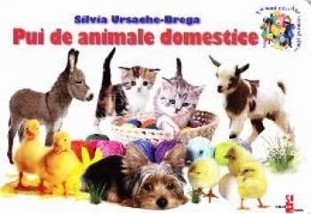 Pui de animale domestice - Silvia Ursache-Brega