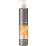 Balsam Profesional Nutritiv cu Elastina &amp; Colagen - ERAYBA/ N16 Collastin Conditioner 250 ml