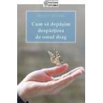 Cum sa depasim despartirea de omul drag - Dmitry Semenik