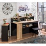 Birou, Çilek, Black Large Study Desk, 138x75x58 cm, Multicolor