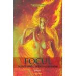 Focul aspecte oculte initiatice si simbolice ed.2 - Gregorian Bivolaru