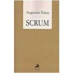 Scrum - Augustin Nacu