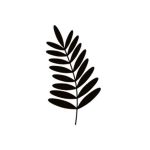 Sticker decorativ, Duragon, Frunza, negru, 24 bucati, 6x2.5 cm