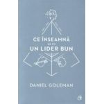 Ce inseamna sa fii un lider bun - Daniel Goleman