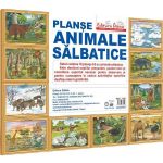 Animale salbatice. Set 10 planse, editura Diana