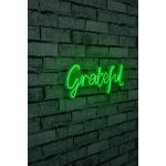 Decoratiune luminoasa LED, Grateful, Benzi flexibile de neon, DC 12 V, Verde