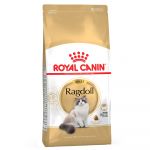10kg Ragdoll Adult Royal Canin hrană uscată pentru pisici