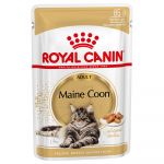 12 x 85g Maine Coon Royal Canin Breed Hrană umedă pisici