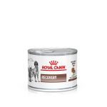 12x195g Recovery Ultra Soft Mousse Royal Canin Veterinary Hrană umedă pisici