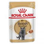 12x85g Breed British Shorthair Royal Canin hrană umedă pentru pisici