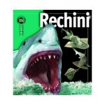 Rechini - Insiders, editura Rao