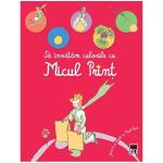 Sa invatam culorile cu Micul Print. Joaca-te si invata cu Micul Print, editura Rao