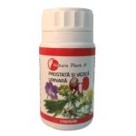 Prostata si Vezica Urinara - Natura Plant Poieni, 60 capsule