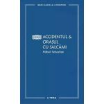 Accidentul. Orasul Cu Salcami - Mihail Sebastian, Editura Litera