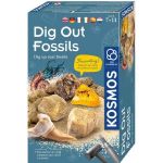 Set educativ stem - Fosile antice