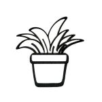 Decoratiune moderna in forma de planta suculenta decorativa, 140x150x15 mm