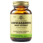 Ashwagandha Root Extract - Solgar, 60 capsule
