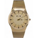 Ceas barbatesc Matteo Ferari Casual MF6801_G_CR - Engross