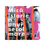 Mica istorie a unui secol mare - Monica Onojescu, editura Grupul Editorial Art
