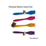Pensula silicon, diverse culori Engros
