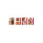 SET 12 PUNGI CU IMPRIMEU CRACIUN ENGROS 31.5X39.5 CM