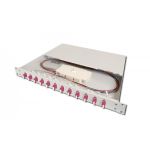 DIGITUS FO splice box, 1U, equipped, 12x LC DX, OM4 incl. splice cassette, colored pigtails, couplers (DN-96331-4)