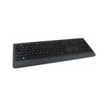 lenovo Lenovo 4X30H56841 tastaturi RF fără fir QWERTY Engleză SUA Negru (4X30H56841)