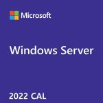 Microsoft OEM Windows Server CAL 2022 English 1pk DSP OEI 1 Clt User CAL (R18-06448)