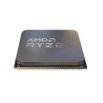 AMD Ryzen 5 5500 procesoare 3,6 GHz 16 Mega bites L3 (100-000000457)