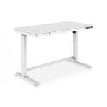 DIGITUS Electric height-adjustable Desk, 120x60x12cm top 50kg load, USB-charging ports, white (DA-90406)