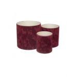 Set inalt 3 cutii rotunde pentru aranjamente florale pret engros