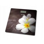 Cantar BS-973 W14 Plumeria