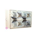 ​Set 10 fluturasi decorativi argintii engros