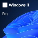 Windows 11 Pro, 64-bit, Engleza, Retail/FPP, USB Flash