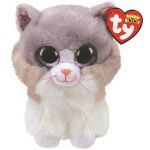 Cat Asher 24 cm