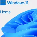 ESD Windows HOME 11 64-bit All Languages Online Product Key License 1 License Downloadable NR
