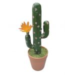 Cactus decorativ Engros, in ghiveci pvc
