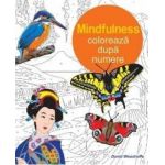 Mindfulness Coloreaza dupa numere