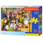 70 pieces Playful Pets